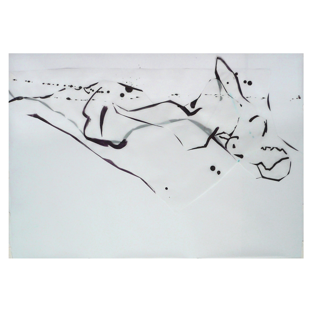 <i>Rêve lucide</i>, encre sur calque, 54x85cm, 2008