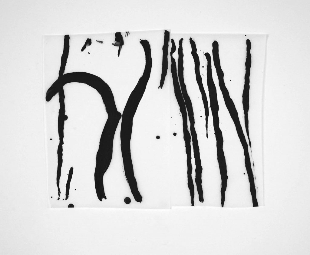 <i>Z 2</i>, 45x57cm, 2024